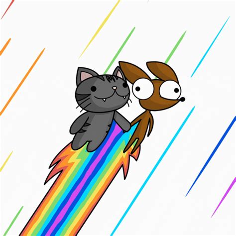 Rainbow Cat GIFs - Find & Share on GIPHY