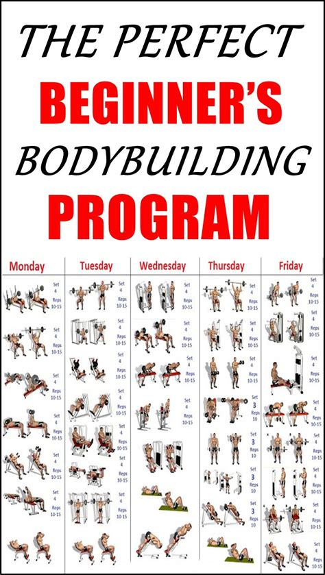 THE PERFECT BEGINNER’S BODYBUILDING PROGRAM | Bodybuilding program, Beginner workout for men ...