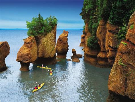 Hopewell Rocks Provincial Park - Fundy Biosphere Reserve Explorer