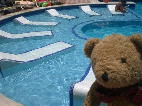 Teddy and Nibs: Do Bears Swim?