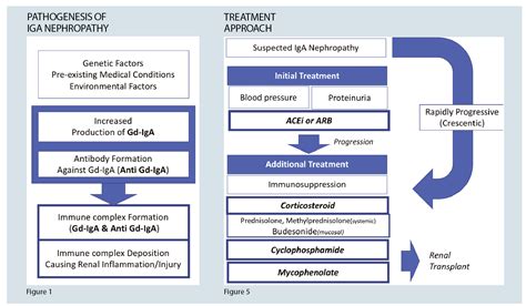 Medline Plus Medical Encyclopedia: Iga Nephropathy Treatment