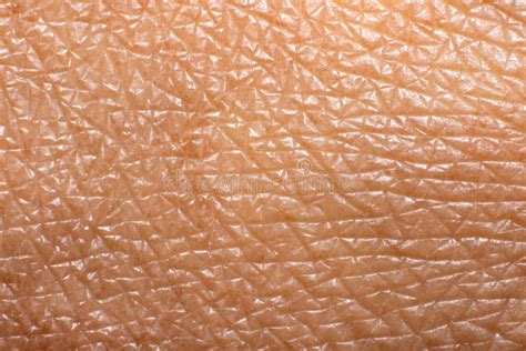 Close Up Macro Photo of Human Skin Texture Stock Image - Image of hand, healthcare: 189611545