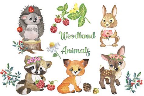 Baby Forest Animals Clipart