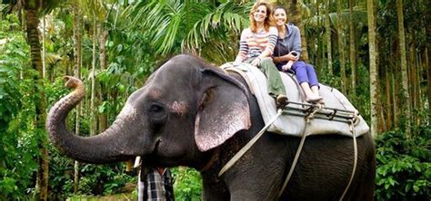 Elephant Ride In Thekkady - 5 Star Resort in Kerala