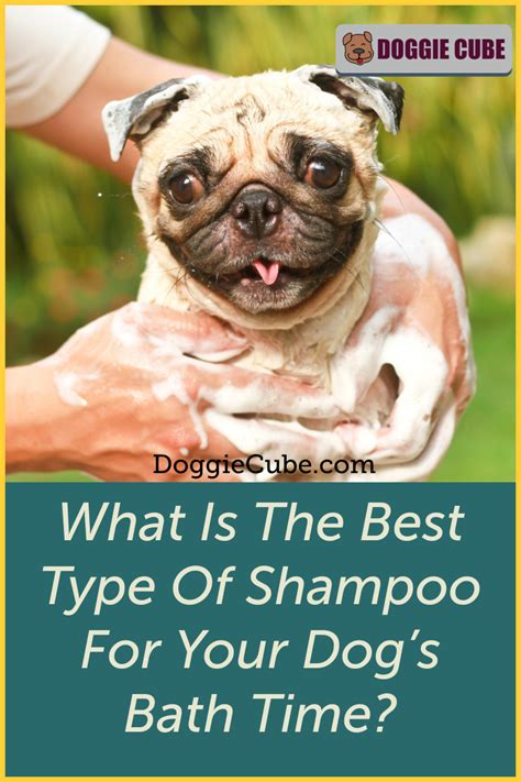 Dog Grooming Salons, Dog Grooming Tips, Dog Grooming Supplies, Puppy Health, Dog Health Care ...