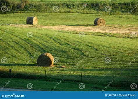 Hay field stock photo. Image of landscape, farming, scenic - 1042762