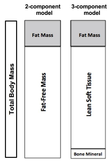 Dexalytics News // IS IT LEAN SOFT TISSUE OR FAT-FREE MASS?