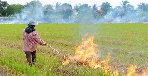 Thailand Pollution - POVERTY POLLUTION PERSECUTION