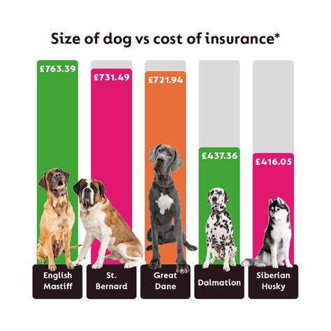 Dog Insurance Usa Dog Insurances Are Very Difficult To Choose Because They Are A Commitment And ...