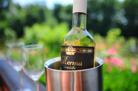 Herma introduces materials for wine labels | Labels & Labeling