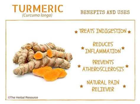 Turmeric Herb Uses, Side Effects and Benefits