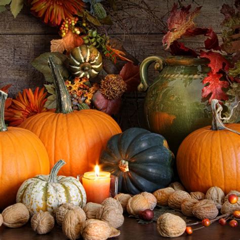 Simple Ways to Use Pumpkins, Squash, & Gourds in Fall Decor | Montana Happy