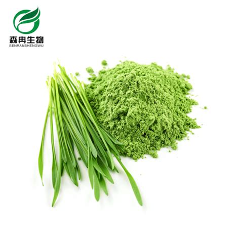 Barley Grass Powder - Xi'an SR Bio-Engineering Co.,Ltd