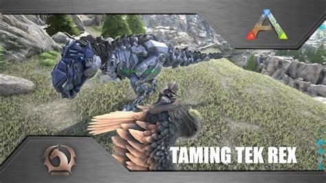 Ark Survival Evolved - Taming Tek Rex / How to tame wild Tek Rex (Ragnarok) - YouTube