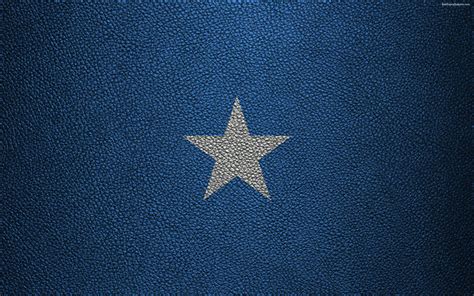 Download wallpapers Flag of Somalia, Africa, 4k, leather texture ...