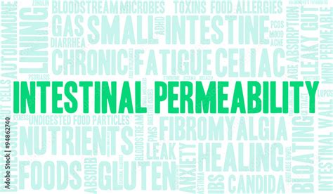 Intestinal Permeability Word Cloud Stock Vector | Adobe Stock