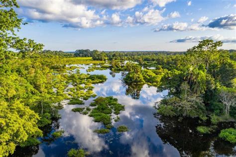 Congo | Global Climate Pledge