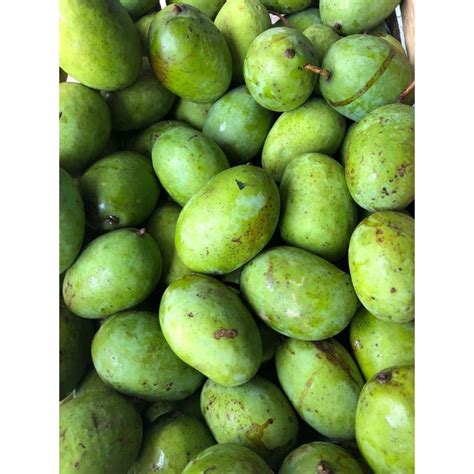 Jual mangga kweni | Shopee Indonesia