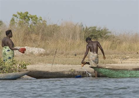 The Gambia River Route Travel Guide - Discover the best time to go, places to visit and things ...