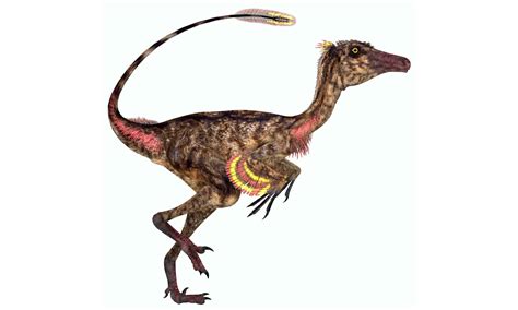 Troodon - A-Z Animals