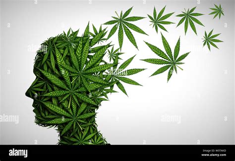 Marijuana effects on the brain and cannabis mood altering chemicals or psychology and drugs ...