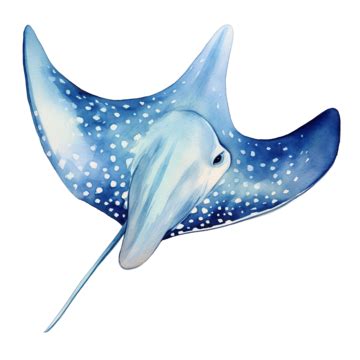 Watercolor Stingray Sea Animal Clip Art, Stingray, Watercolor, Sea PNG ...