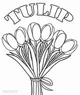 Printable Nature Coloring Pages For Kids Cool2bkids sketch template