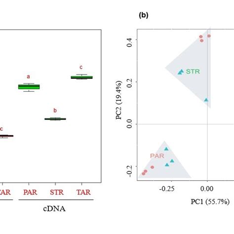 Alpha diversity and beta-diversity of aerobic methanotroph calculation ...