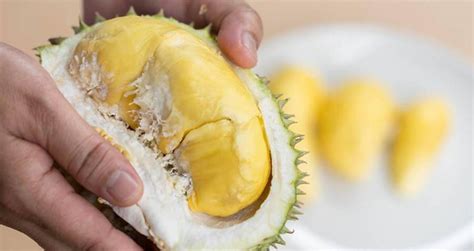 What Is Durian, The Southeast Asian Fruit Said To Smell Like Death?