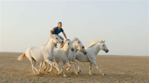 Short Film - The Horse Whisperer | Red Earth Studio