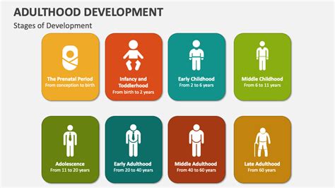 Adulthood Development PowerPoint Presentation Slides - PPT Template