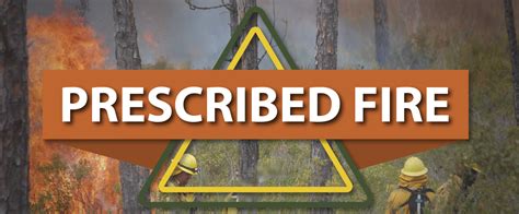 Prescribed Fire at Florida State Parks | Florida State Parks