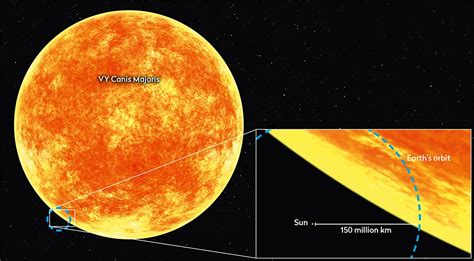 Canis Majoris Compared To The Sun