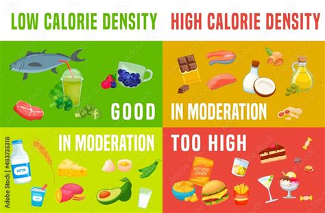 Calorie density chart. Low-density food to eat. Landscape medical poster. เวกเตอร์สต็อก | Adobe ...