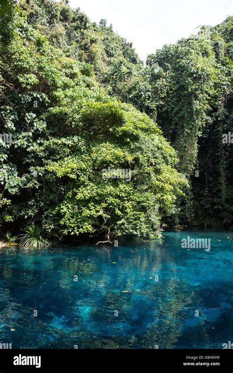 Blue Hole, Vanuatu Stock Photo - Alamy