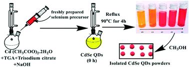 Facile one-pot aqueous synthesis of highly soluble and luminescent CdSe ...