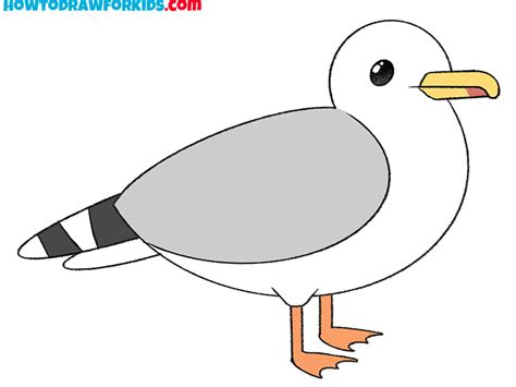 Seagull Head Drawing