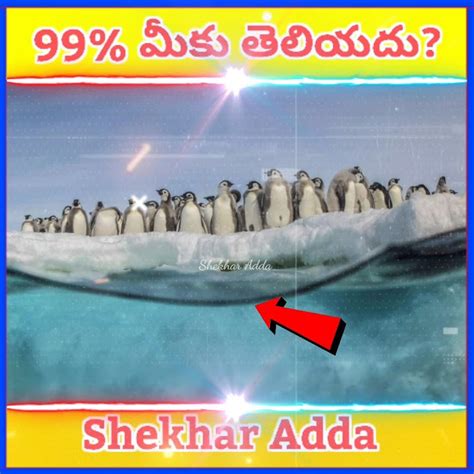 MOST INTERESTING SHORTS | TELUGU SHORTS | #SHORTS | #SHEKHARADDA - YouTube