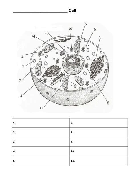 Structures of a cell quiz