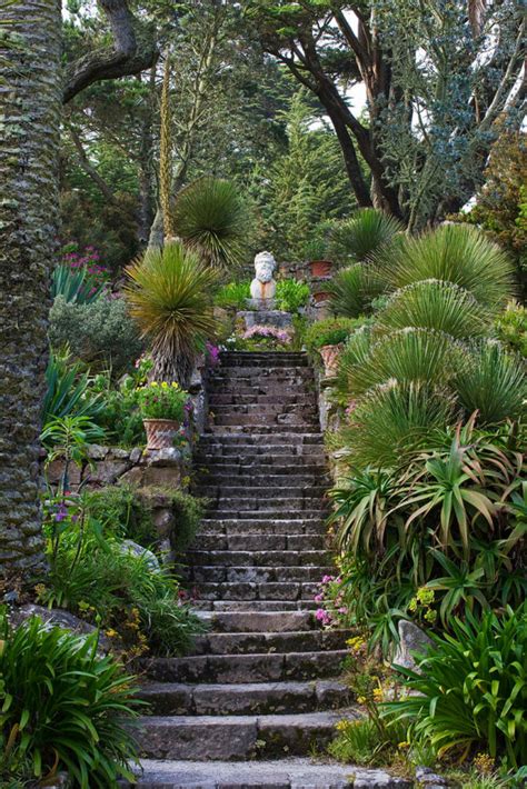 Tresco Abbey Garden - clivenichols.com