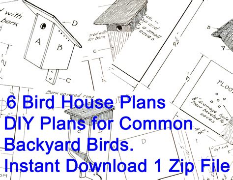 Instant Download Bird House Plans for 6 Common Backyard Birds DYI ...