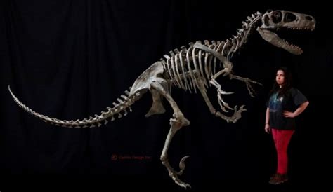 New Utahraptor Skeleton - Gaston Design, Inc.