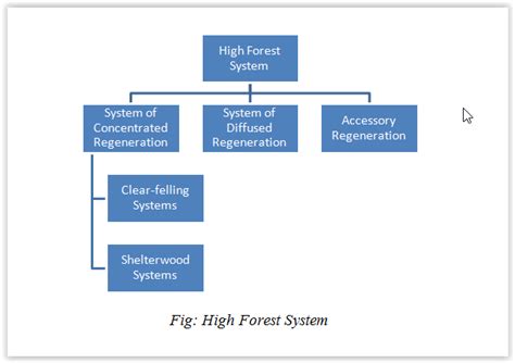 Introduction to Silvicultural Systems - Forestry Coaching-IFoS ACF AFO ...