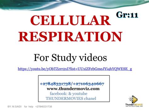 respiration-.pdf