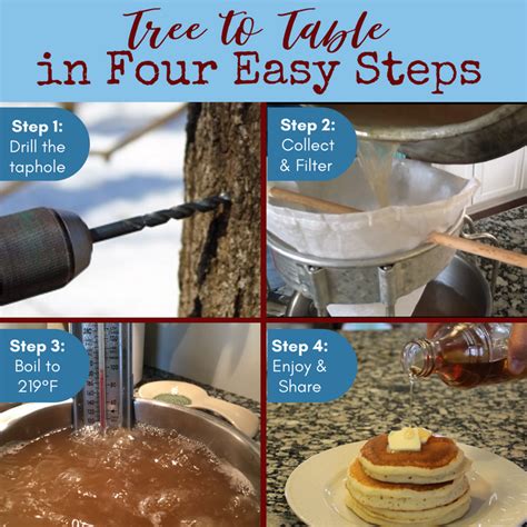 Maple syrup making equipment, spiles, tubes — MapleTapper