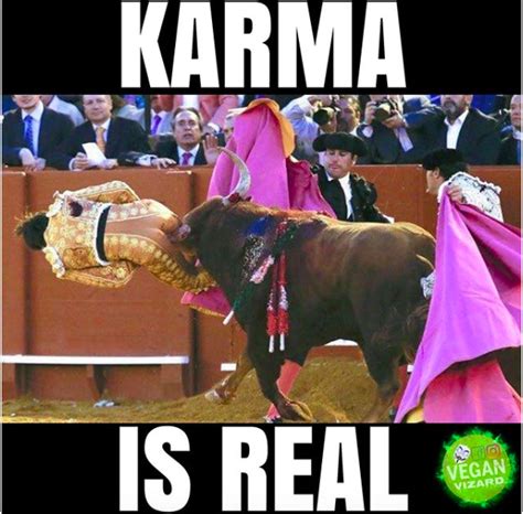 Karma is real https://www.totallyveganbuzz.com/wp-content/uploads/2019/05/Vizard-1.png : r ...