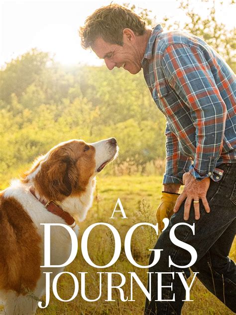 What is your best dog movie of all time? Mine should be "A Dog's ...