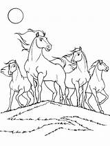 Spirit Horse Coloring Pages Printable sketch template
