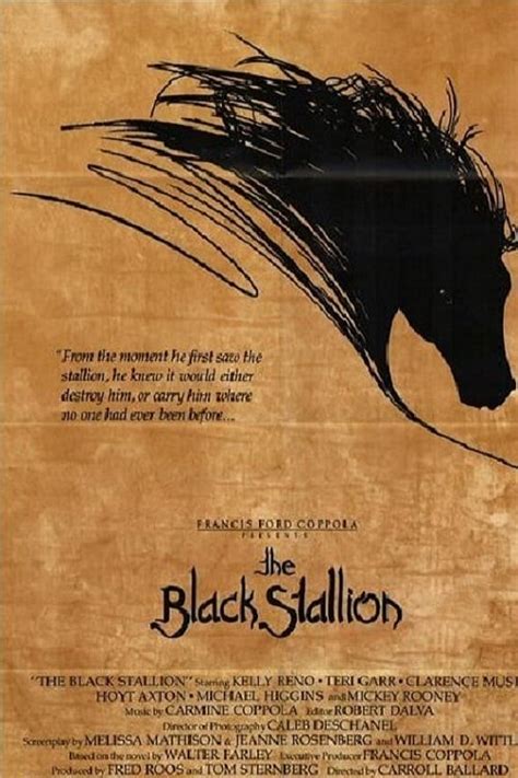 The Black Stallion Collection - Posters — The Movie Database (TMDB)