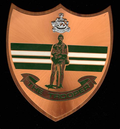 RHODESIAN SECURITY FORCES -> Rhodesian Regiment and Rhodesian Light Infantry PLAQUES